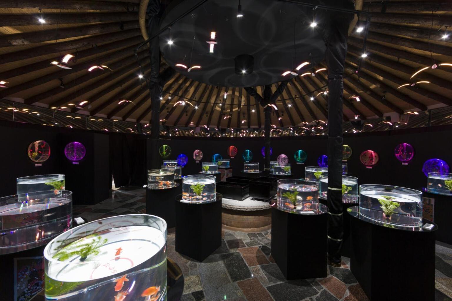 Gotemba Kogen Tokinosumika Hotel Eksteriør billede